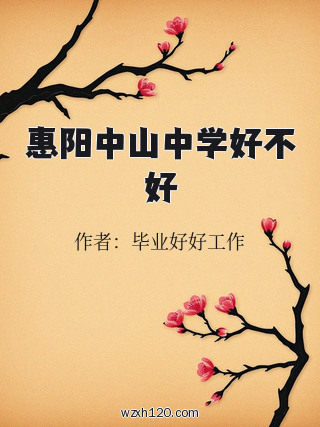 惠阳中山中学好不好
