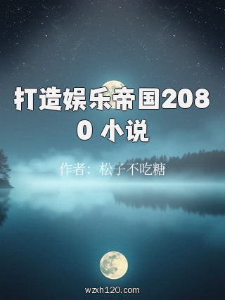 打造娱乐帝国2080 小说
