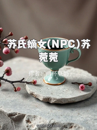 苏氏嫡女(NPC)苏菀菀