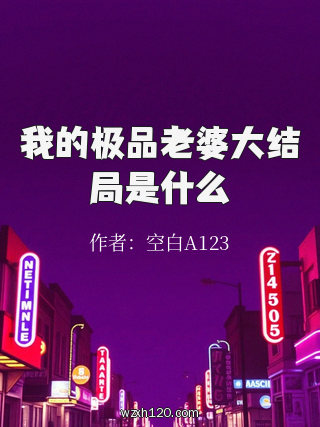 我的极品老婆大结局是什么