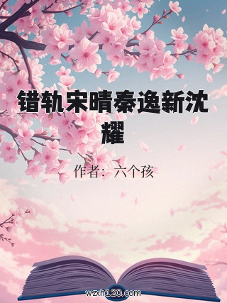 错轨宋晴秦逸新沈耀