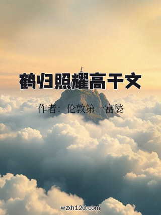 鹤归照耀高干文