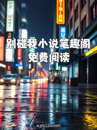别碰我小说笔趣阁免费阅读