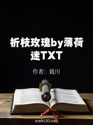 折枝玫瑰by薄荷迷TXT