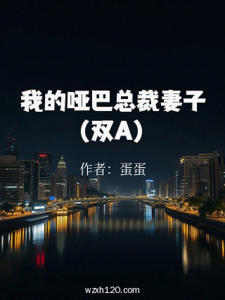 我的哑巴总裁妻子(双A)