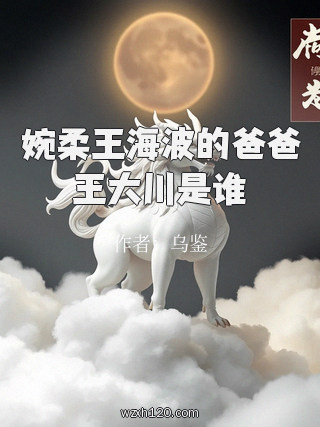 婉柔王海波的爸爸王大川是谁