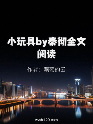 小玩具by秦彻全文阅读