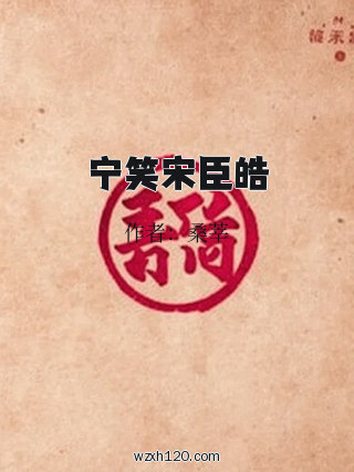 宁笑宋臣皓