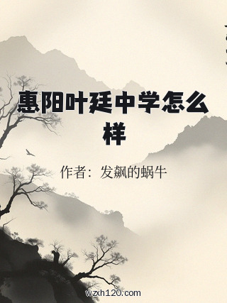 惠阳叶廷中学怎么样