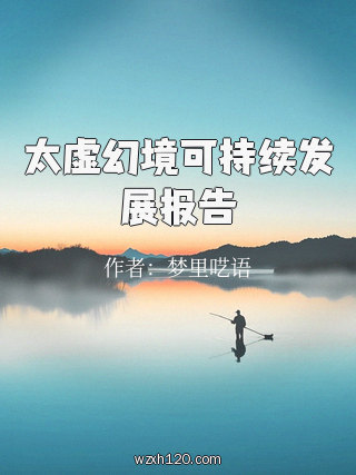 太虚幻境可持续发展报告