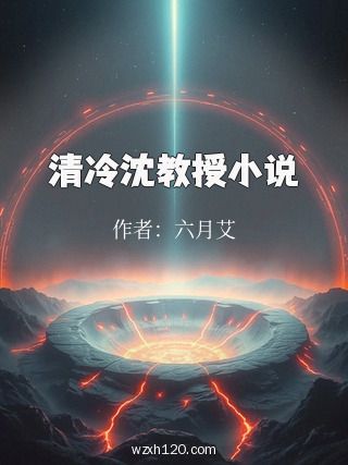 清冷沈教授小说