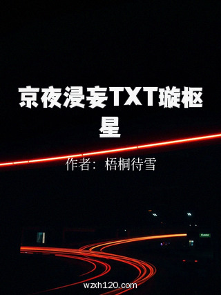 京夜浸妄TXT璇枢星