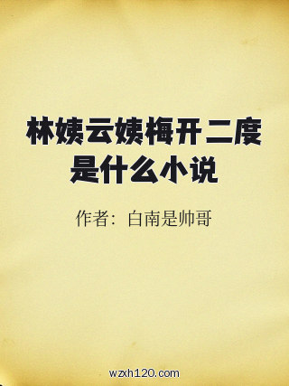 林姨云姨梅开二度是什么小说
