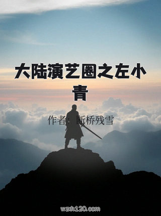 大陆演艺圈之左小青
