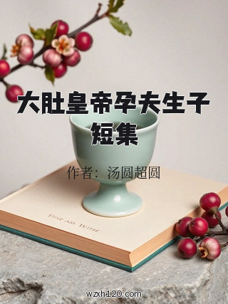大肚皇帝孕夫生子短集