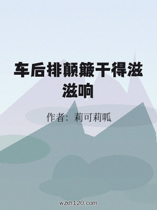 车后排颠簸干得滋滋响
