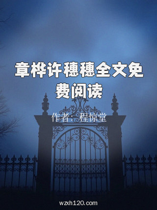 章桦许穗穗全文免费阅读