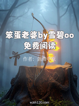 笨蛋老婆by雪碧oo免费阅读