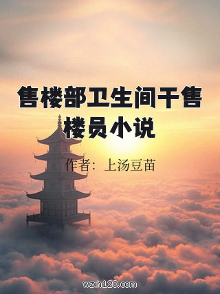售楼部卫生间干售楼员小说