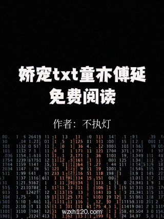 娇宠txt童亦傅延免费阅读