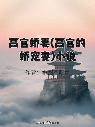 高官娇妻(高官的娇宠妻)小说