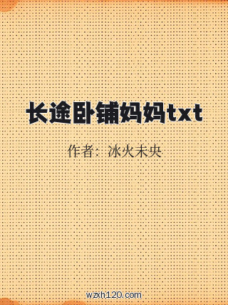 长途卧铺妈妈txt