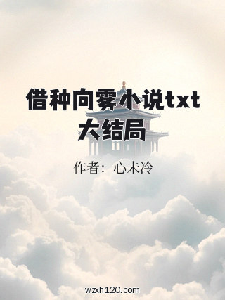 借种向雾小说txt大结局