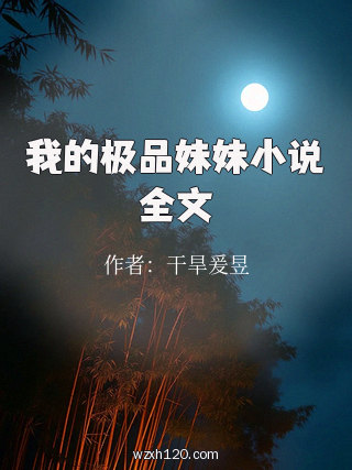 我的极品妹妹小说全文