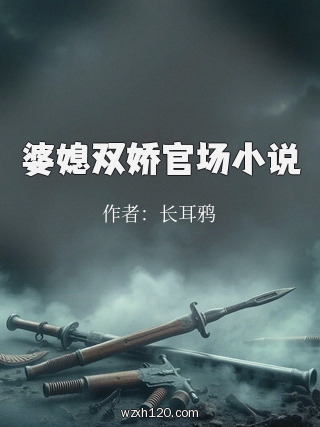婆媳双娇官场小说