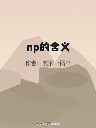 np的含义