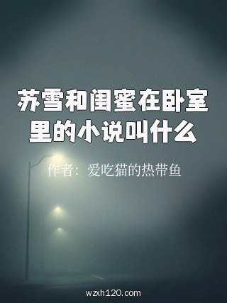 苏雪和闺蜜在卧室里的小说叫什么