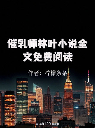 催乳师林叶小说全文免费阅读