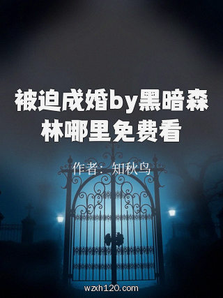 被迫成婚by黑暗森林哪里免费看