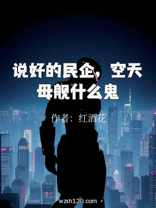 说好的民企,空天母舰什么鬼