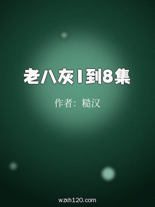 老八灰1到8集