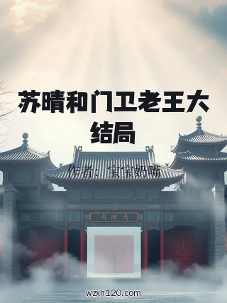 苏晴和门卫老王大结局