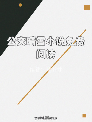 公交晴雪小说免费阅读