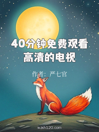 40分钟免费观看高清的电视