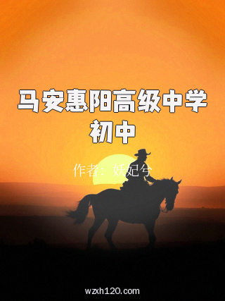 马安惠阳高级中学初中