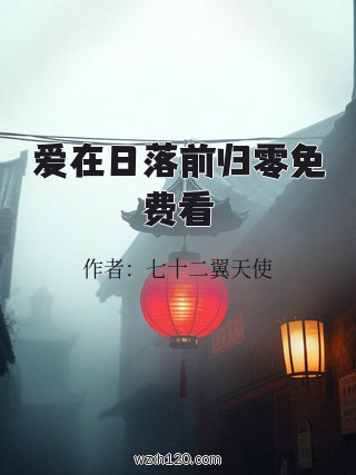爱在日落前归零免费看
