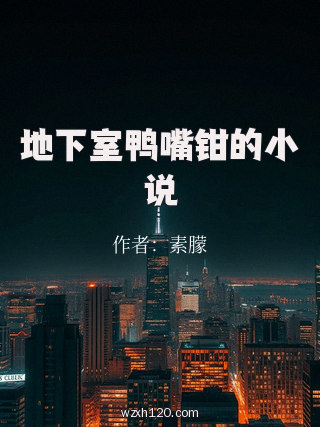 地下室鸭嘴钳的小说