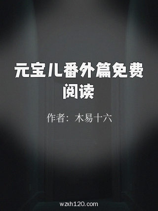 元宝儿番外篇免费阅读