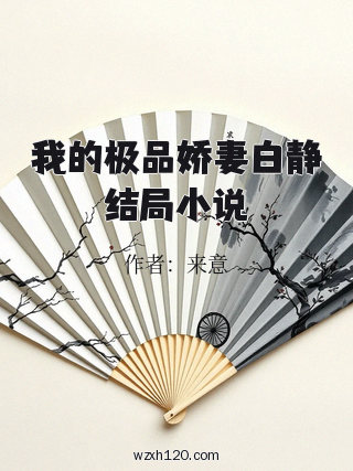 我的极品娇妻白静结局小说