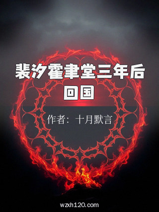 裴汐霍聿堂三年后回国
