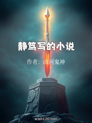 静笃写的小说