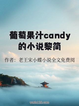 葡萄果汁candy的小说黎简
