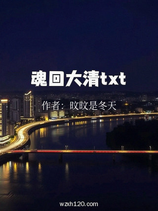 魂回大清txt
