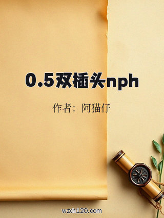 0.5双插头nph