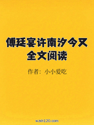 傅廷宴许南汐今又全文阅读