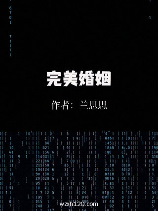 完美婚姻